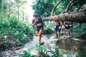 BIB: 
                            <button type="button" onclick="openModal(25435794)" class="btn btn-primary btn-sm float-right btn-popup" data-toggle="modal" data-target=".modal-high-quality">
                        <i class="fas fa-shopping-cart"></i> Add to Cart
                    </button>
                                            <button type="button" onclick="isThisMe(25435794, true)" class="btn btn-success btn-sm float-right btn-popup btn-isme hidden" data-toggle="tooltip" data-placement="bottom" title="นี่คือรูปของคุณใช่ไหม คลิกที่นี่เพื่อเอาเข้าอัลบั้ม">
                        <i class="fas fa-plus"></i> Add to album
                    </button>
                    <button type="button" onclick="isThisMe(25435794, false)" class="btn btn-warning btn-sm float-right btn-popup btn-isnotme hidden">
                        <i class="fas fa-ban"></i> Remove from album
                    </button>